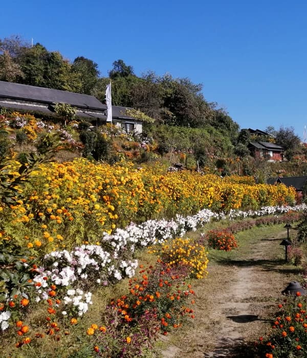 Prakriti resort in hibung