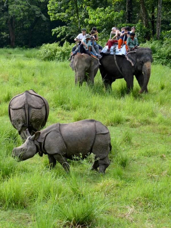 Chitwan Jungle Safari