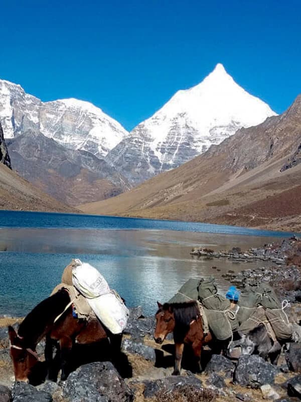 Bhutan trekking