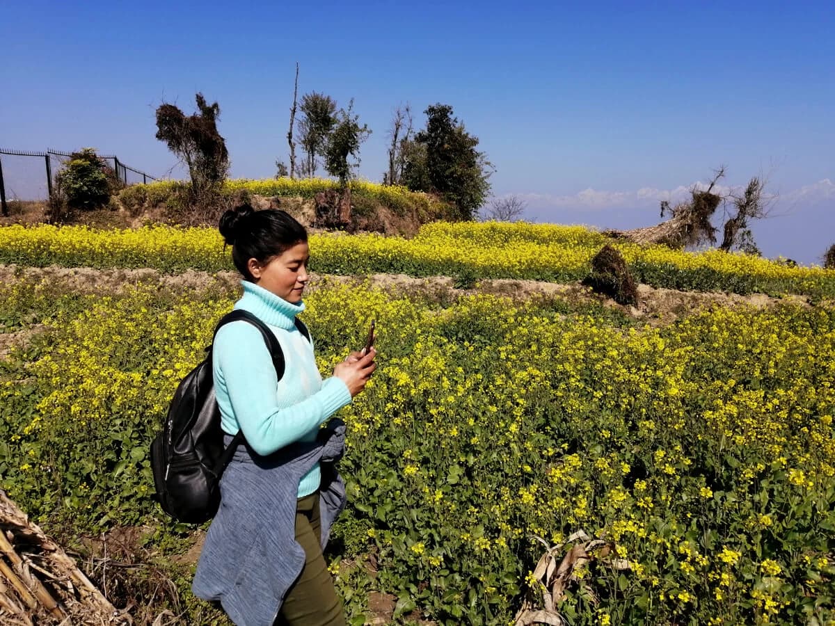 A hiker walks by mustard field on Dhulikhel to Namobuddha hike trail