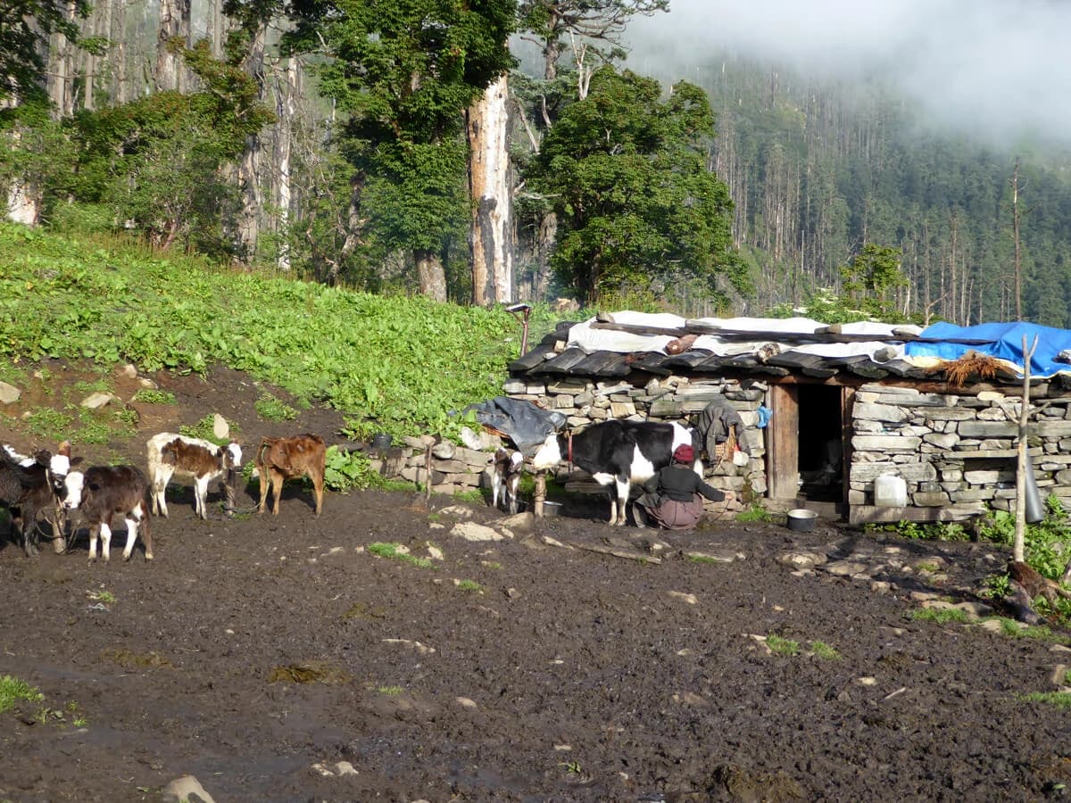 A yak hut on the way to Paldor base camp