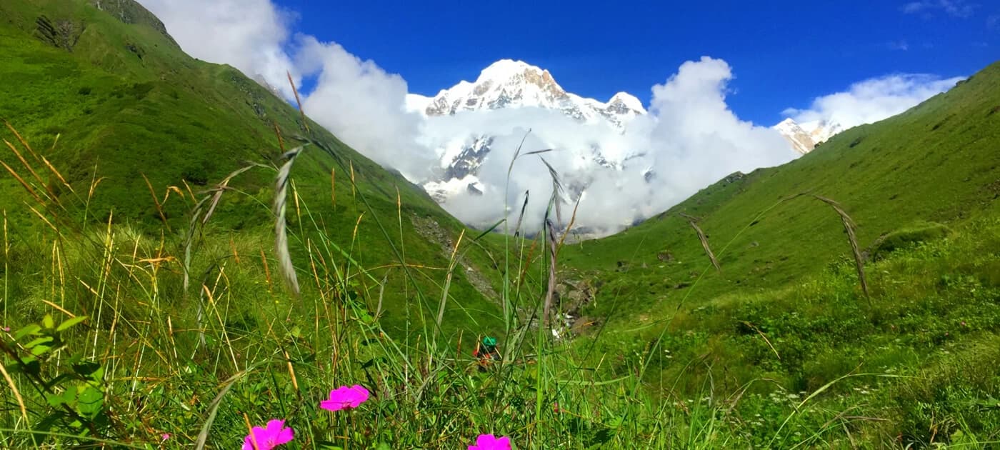Trek Annapurna Base Camp in July