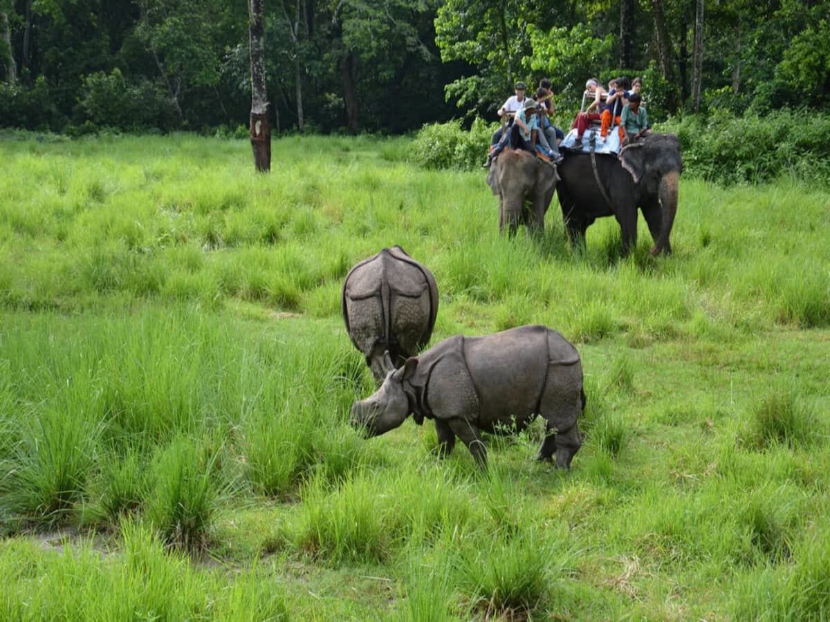 Chitwan Safari