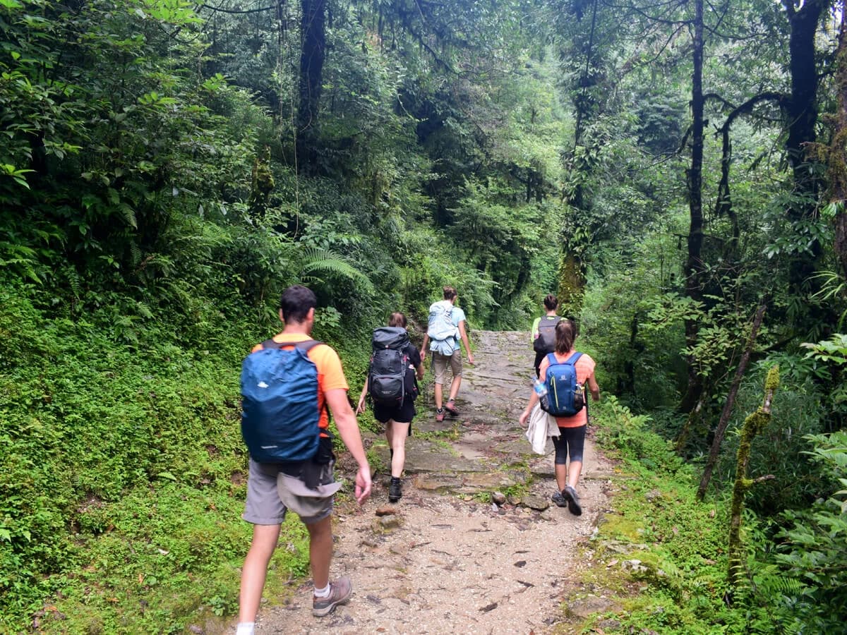 Ghorepani Poon Hill Trek in July and August is so green and serene trail