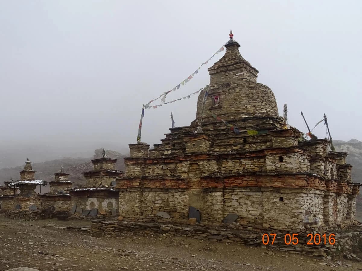 Manis in Nar Phu