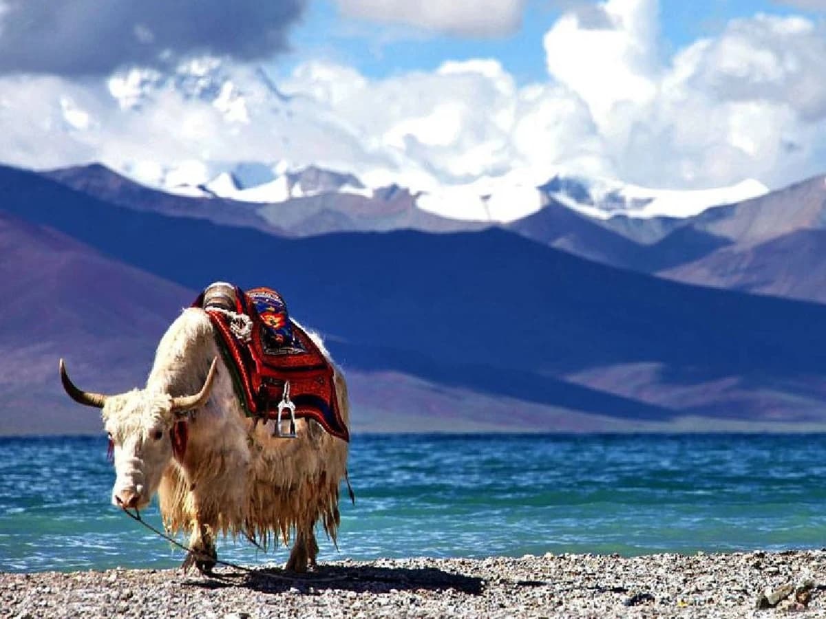 Lake in Tibet