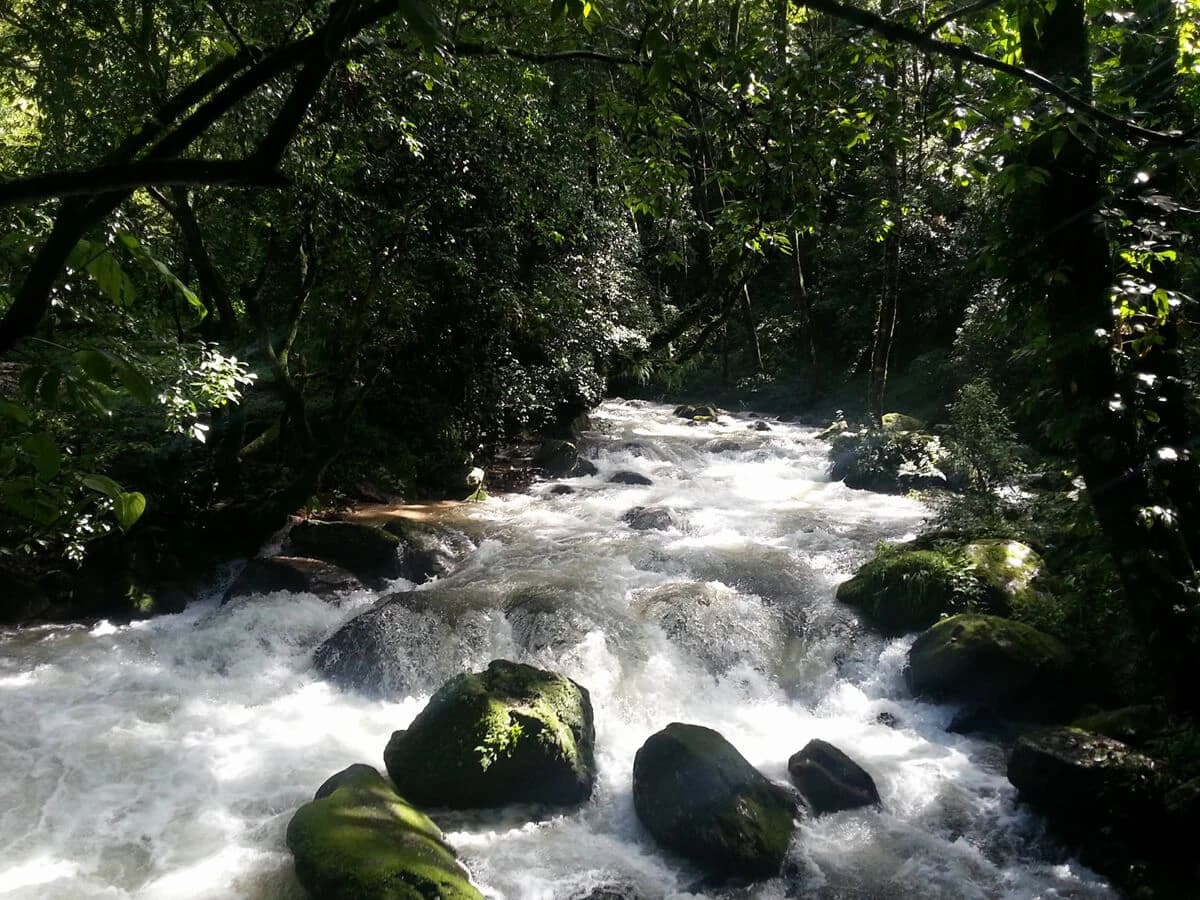 A nature trail in Shuvapuri National park