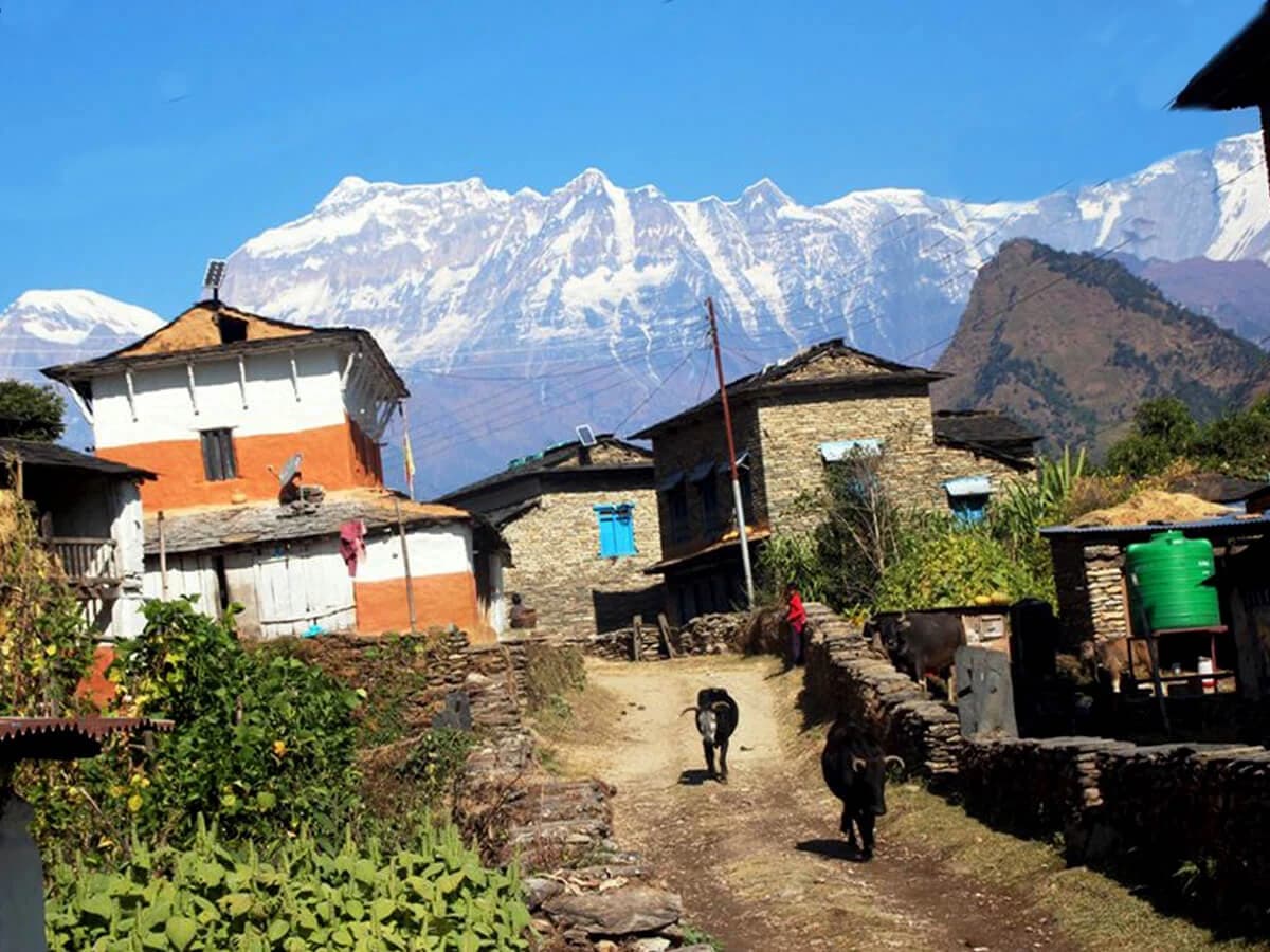 A rural village in Gurja