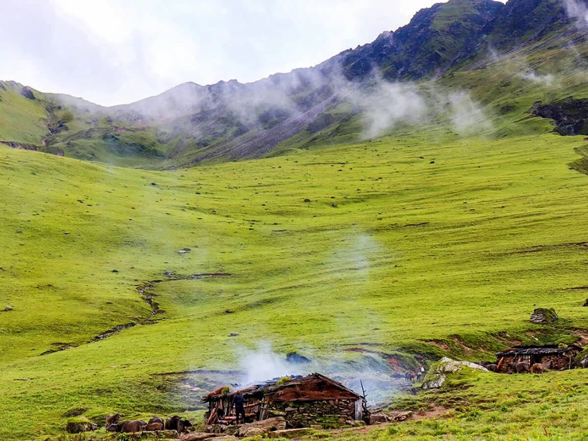 A seasonal alpine medow