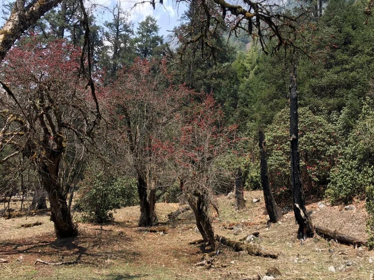 Namunla Pass Trekking