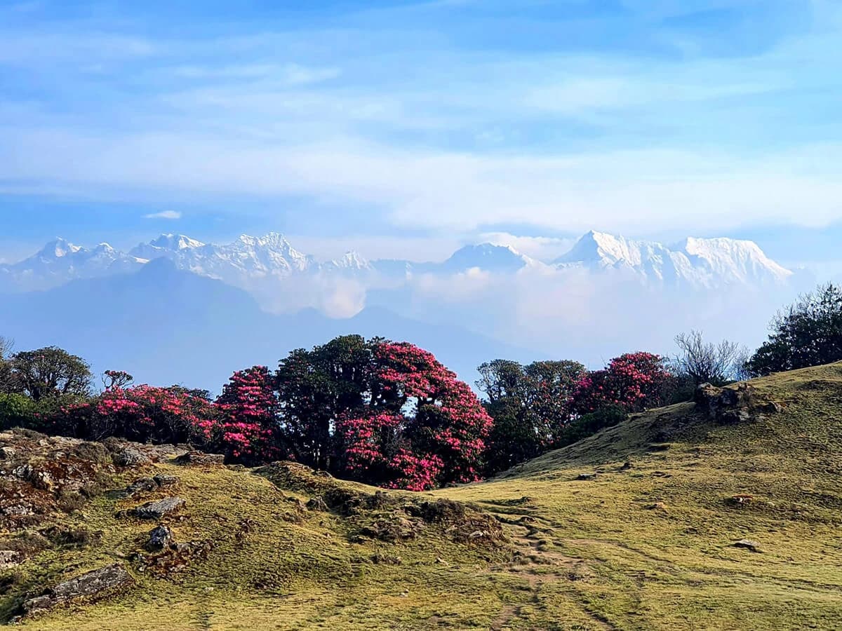 Kanchenjunga mountain range from Mudhum trail trek