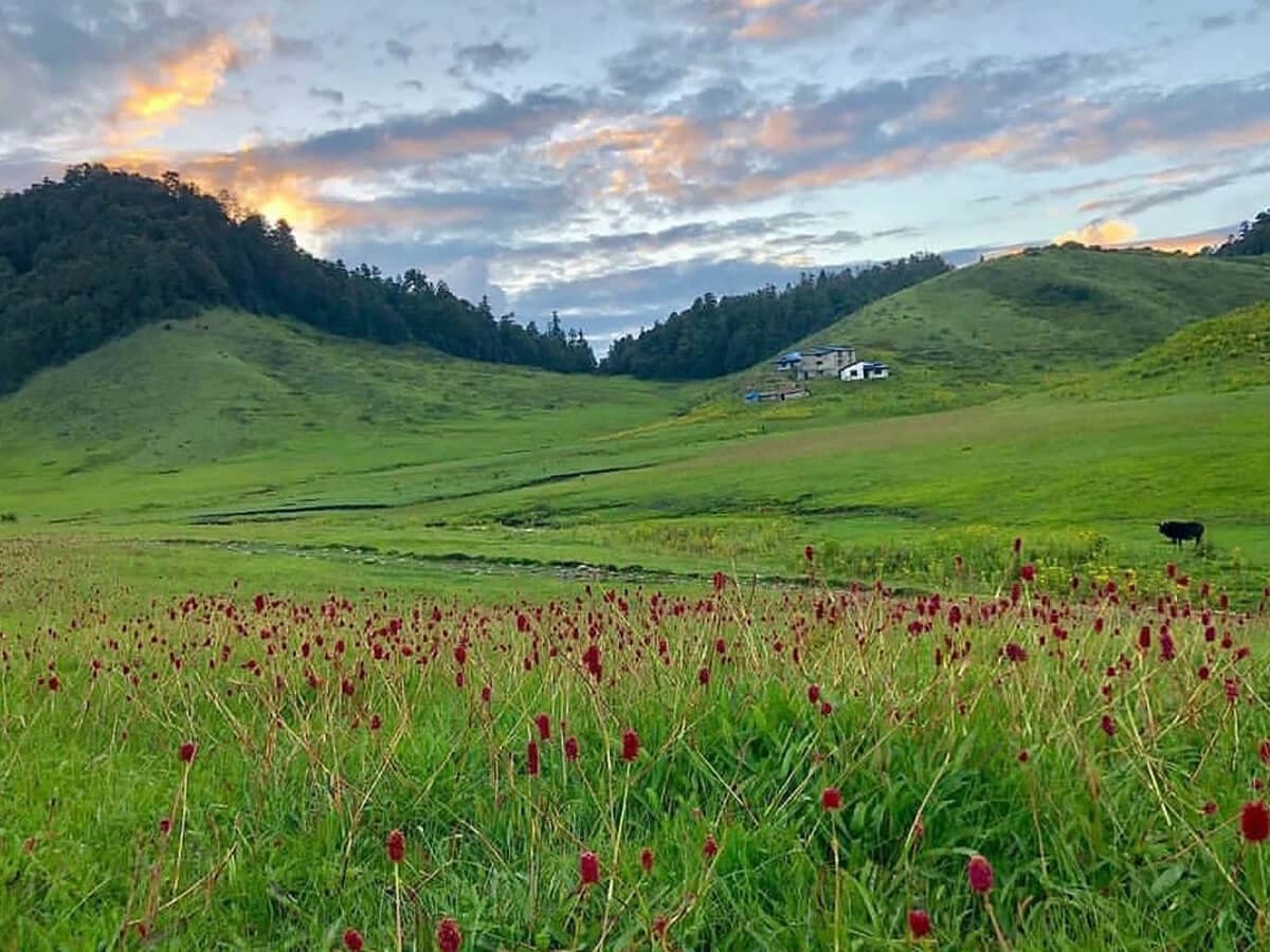 Khaptad national Park in august
