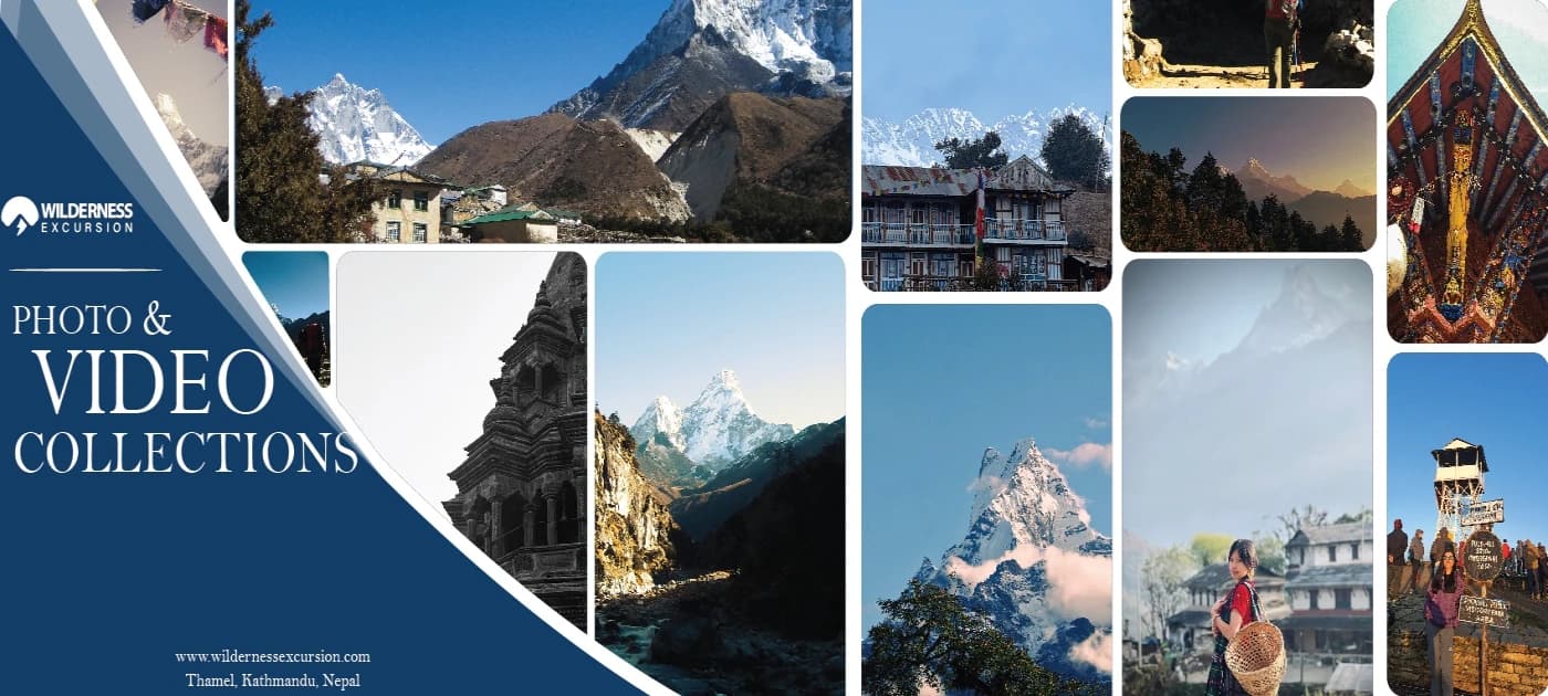 Wilderness excursion photo and video collection