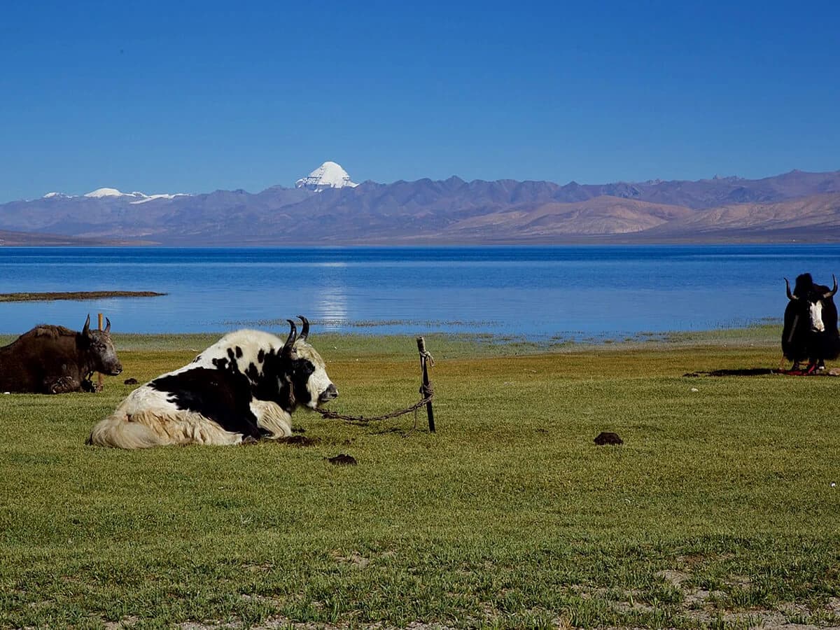 Manasarovar lake