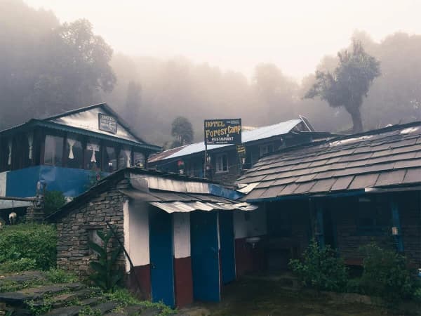 Forest camp of mardi trail