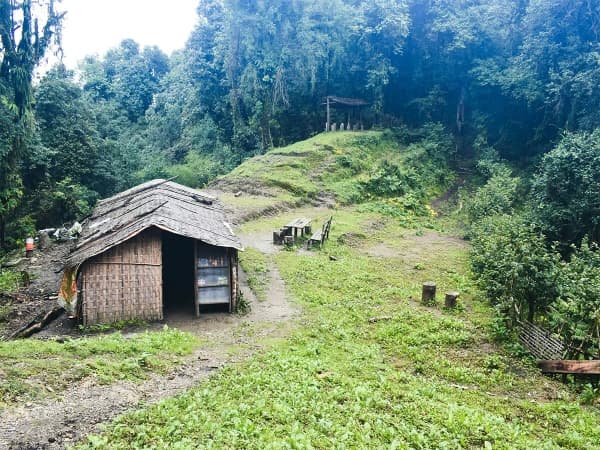 Teshouse near forest camp