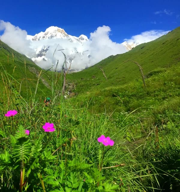Annapurna base camp trek monsoon