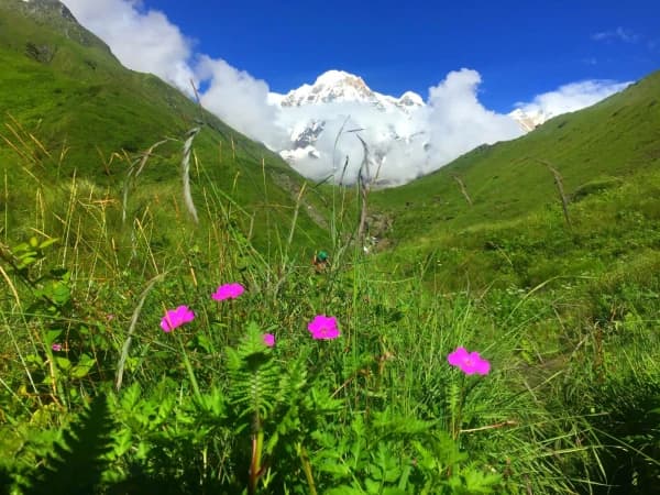 Annapurna Base Camp Trek In July