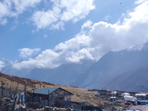 Farmland In Kyanjin
