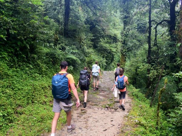 Ghorepani Poon Hill Trek In Summer Full Of Green Vegetation