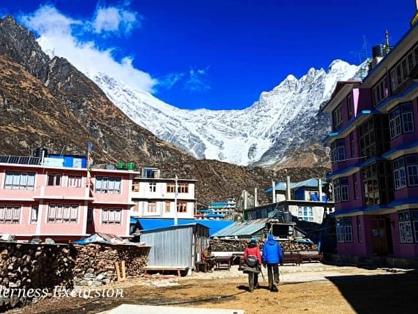Kyanjin Gompa Camp