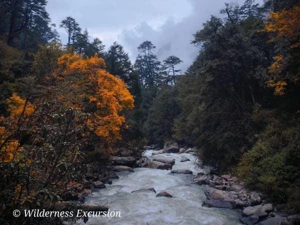 Langtang River Pering Kharka