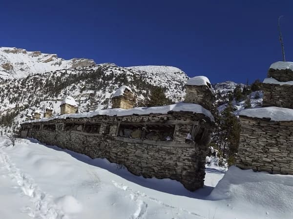 Manis In Manang
