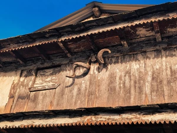 Sheep Horns In House Of Gurjakhani