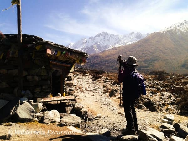 Trail To Kyanjin Gompa