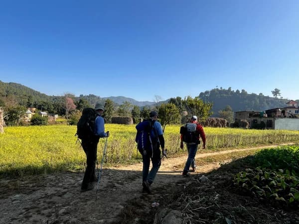 Walking Throug Rice Farm At Balthali Village
