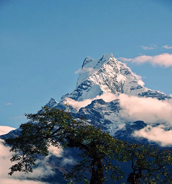 Mardi Himal Trek - 4 Days