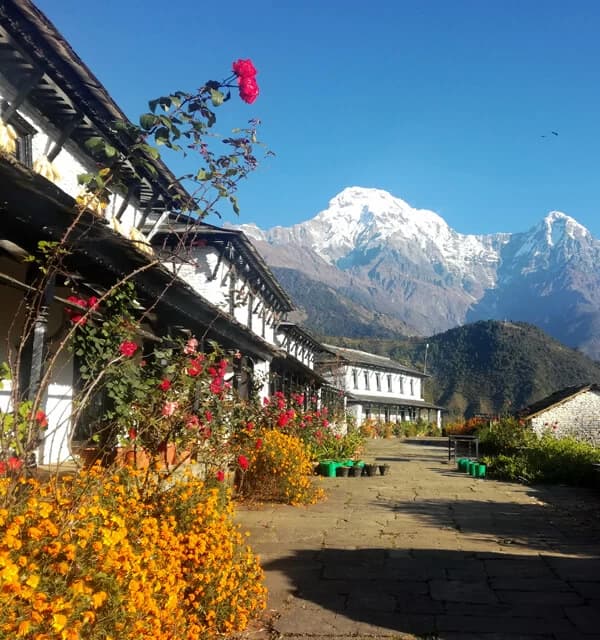 Morning view from Ghandruk Luxury Lodge Trek