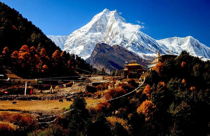 View from Lho Village in 10 Days Manaslu Trek